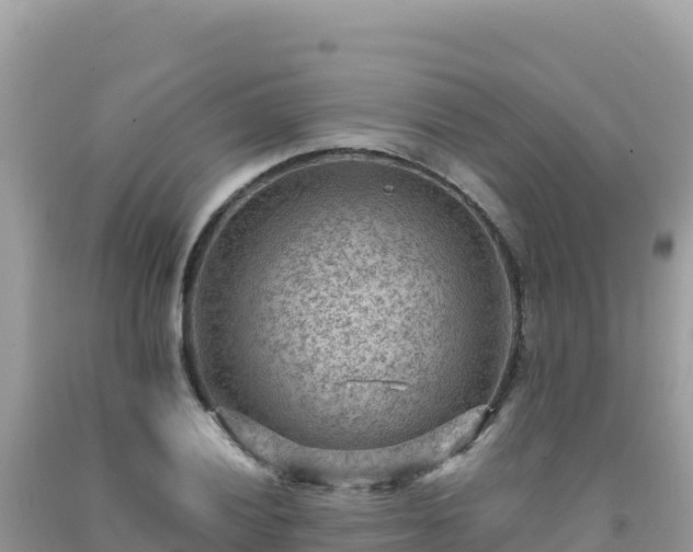 X0000092031028200709131615