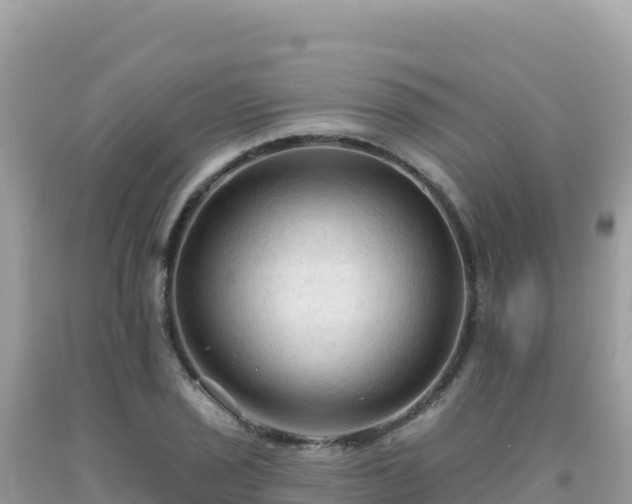 X0000092031029200709131615