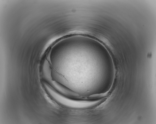 X0000092031030200709131615
