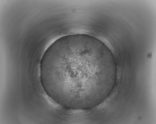 X0000092031031200709131615