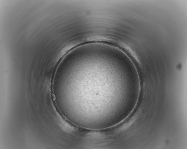X0000092031033200709131615
