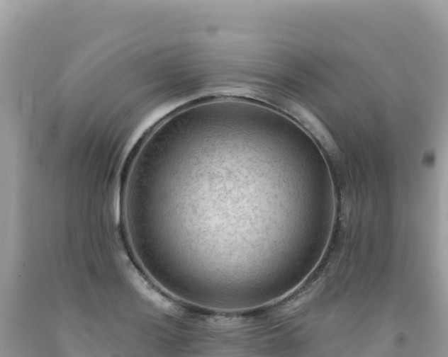 X0000092031036200709131615