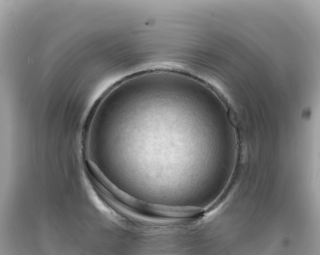 X0000092031038200709131615