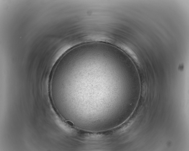 X0000092031039200709131615