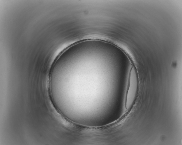 X0000092031040200709131615