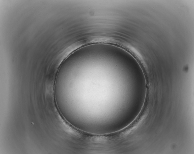 X0000092031041200709131615