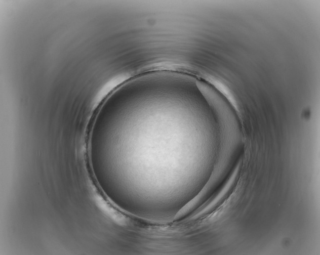 X0000092031042200709131615