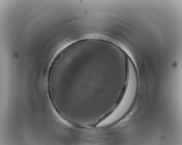 X0000092031045200709131615