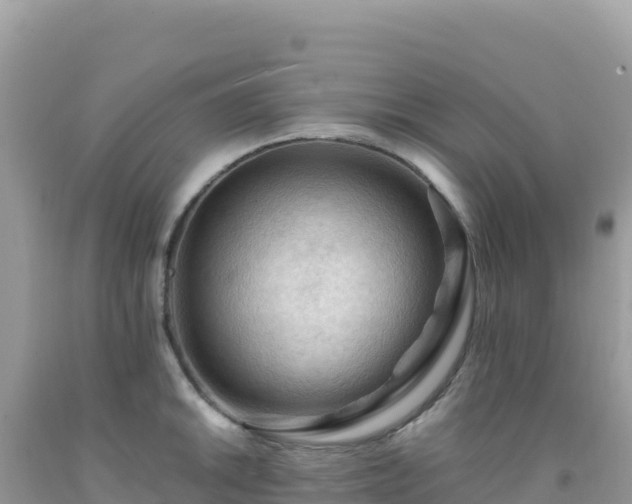 X0000092031046200709131615