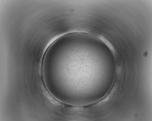 X0000092031052200709131615