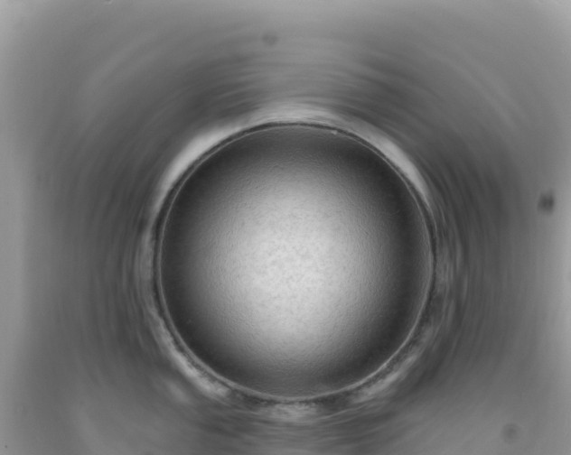X0000092031053200709131615