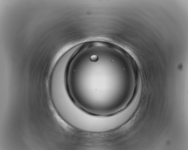 X0000092031054200709131615