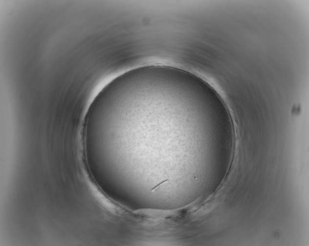 X0000092031056200709131615