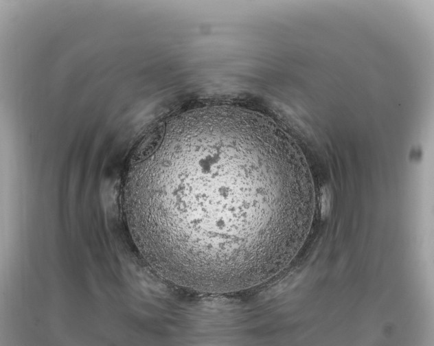 X0000092031059200709131614