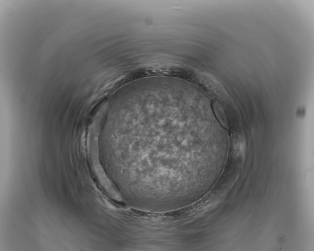 X0000092031060200709131614