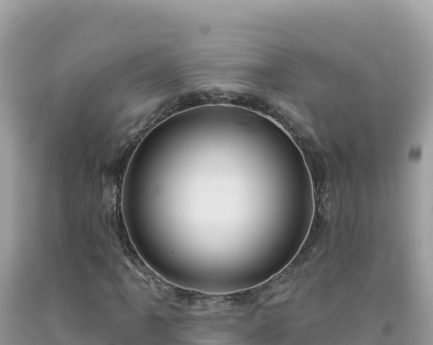X0000092031061200709131614