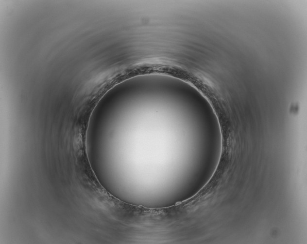 X0000092031062200709131614