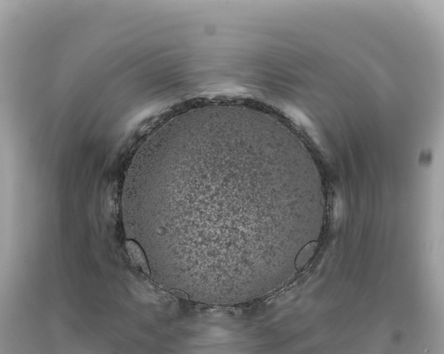X0000092031063200709131614