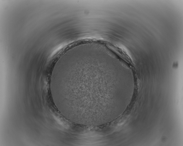 X0000092031064200709131614