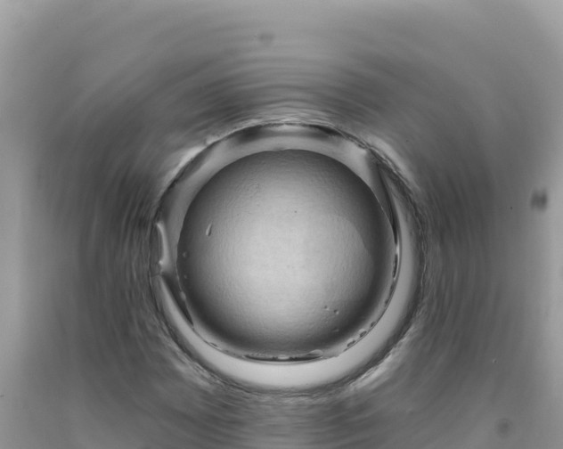 X0000092031065200709131614