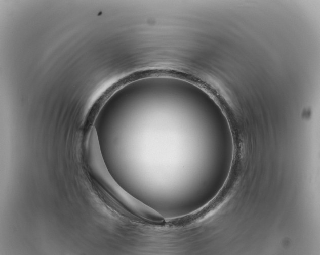 X0000092031069200709131614