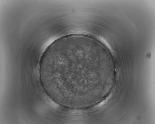X0000092031071200709131614