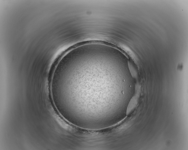 X0000092031072200709131614