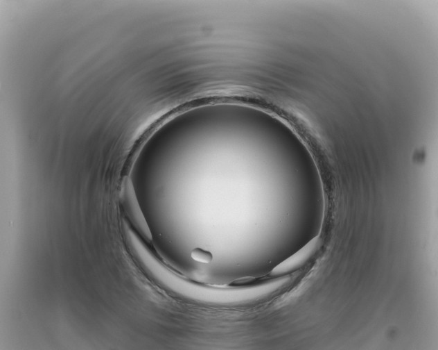 X0000092031073200709131614