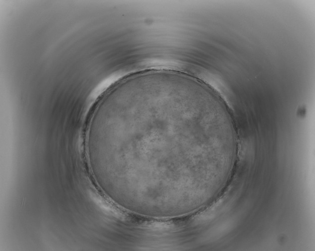 X0000092031074200709131614