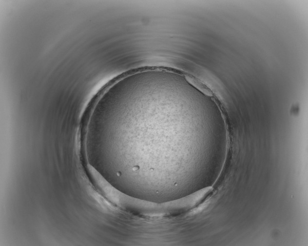 X0000092031076200709131614