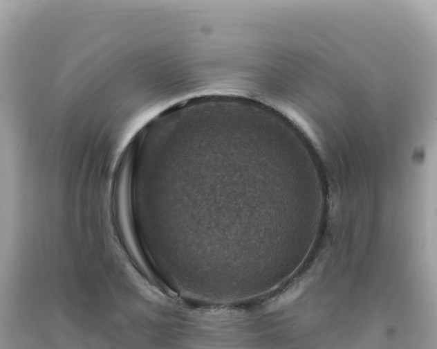 X0000092031077200709131614