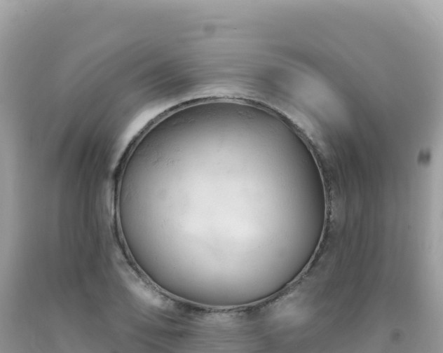X0000092031078200709131614