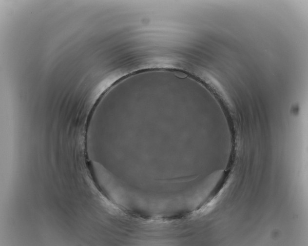 X0000092031081200709131614