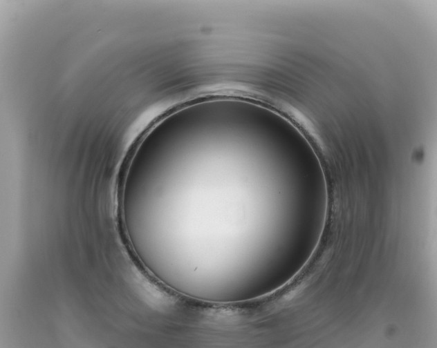 X0000092031082200709131614