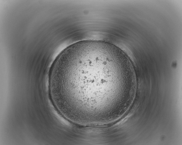 X0000092031083200709131614