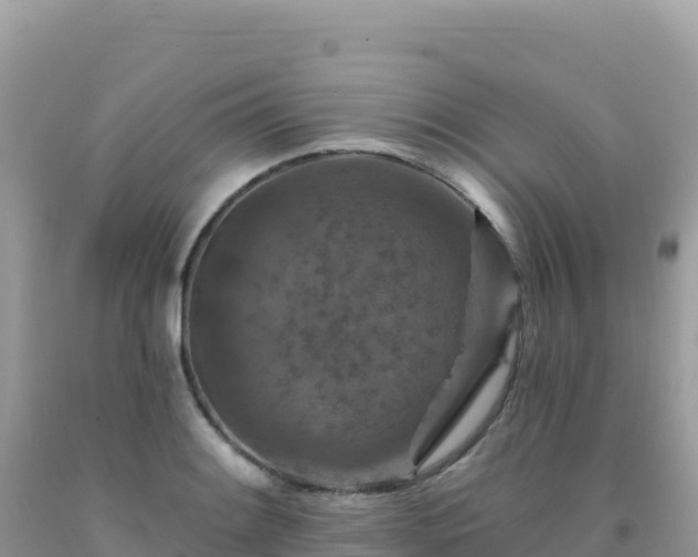 X0000092031084200709131614
