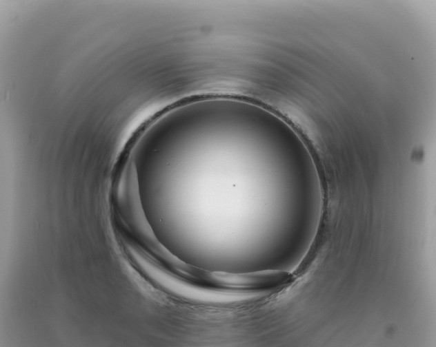 X0000092031085200709131614