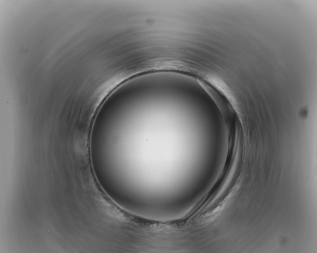 X0000092031089200709131614