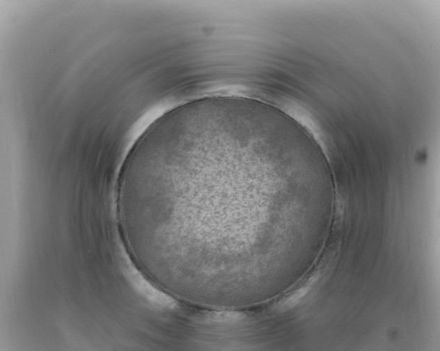 X0000092031090200709131614