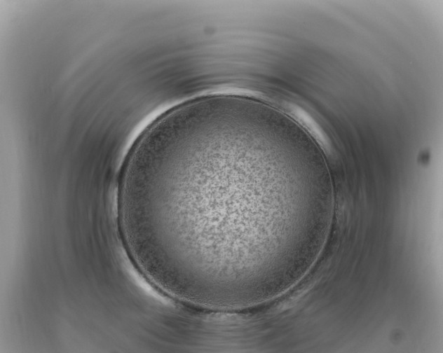 X0000092031092200709131614