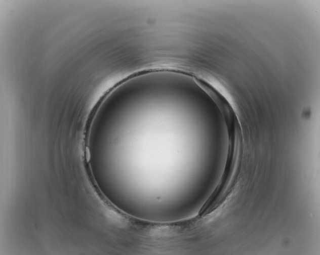 X0000092031093200709131614