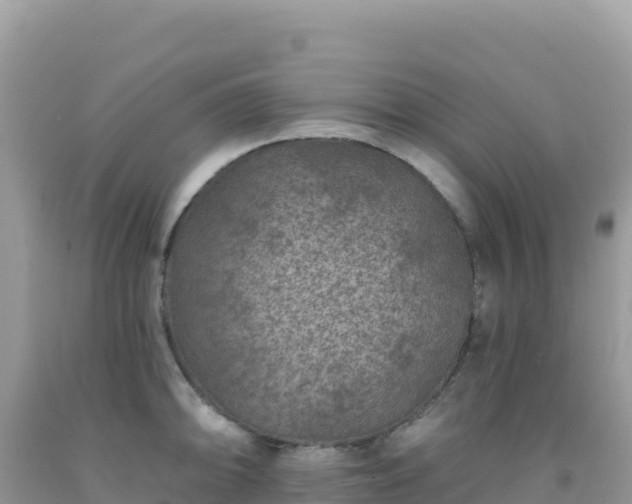 X0000092031094200709131614