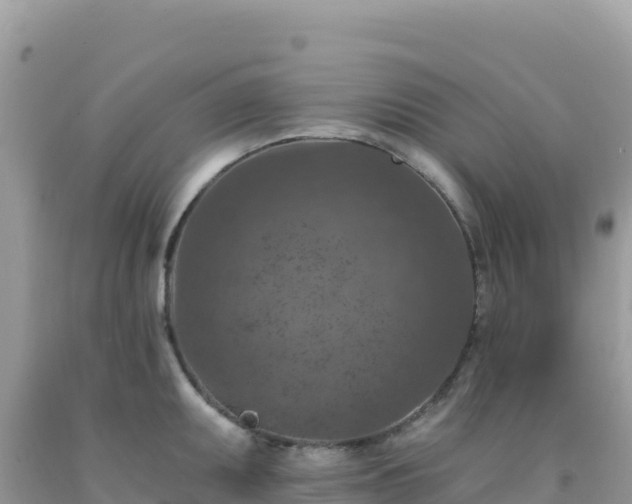 X0000092031095200709131614