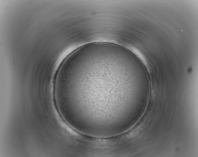 X0000092031096200709131614