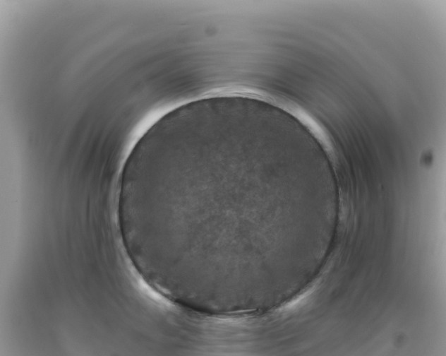 X0000092031102200709131614