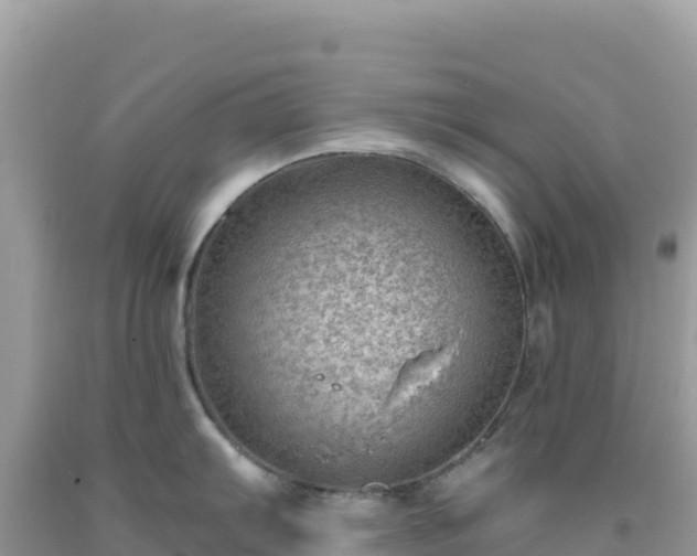 X0000092031103200709131614