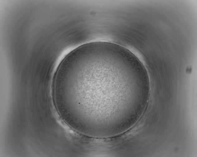 X0000092031104200709131614