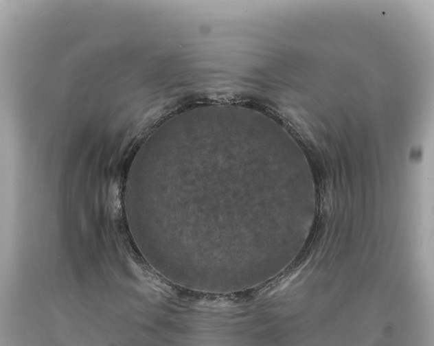 X0000092031106200709131613