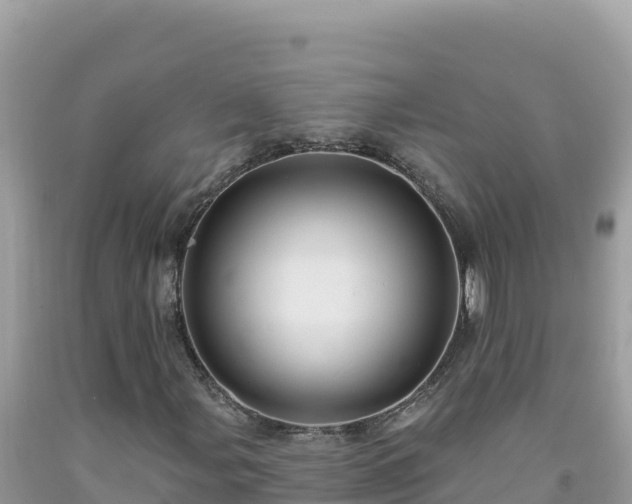 X0000092031107200709131613