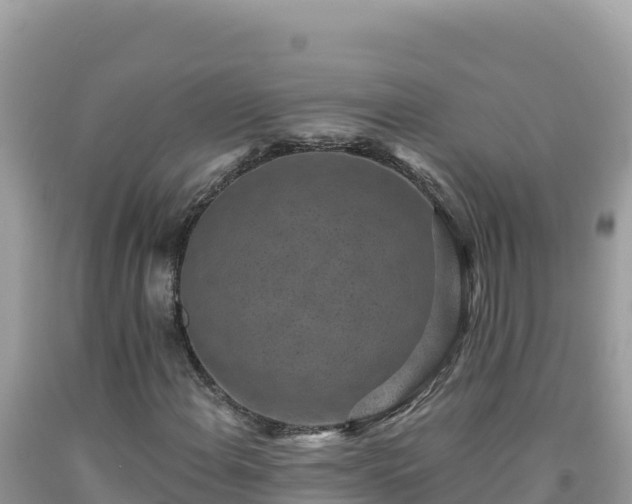 X0000092031108200709131613